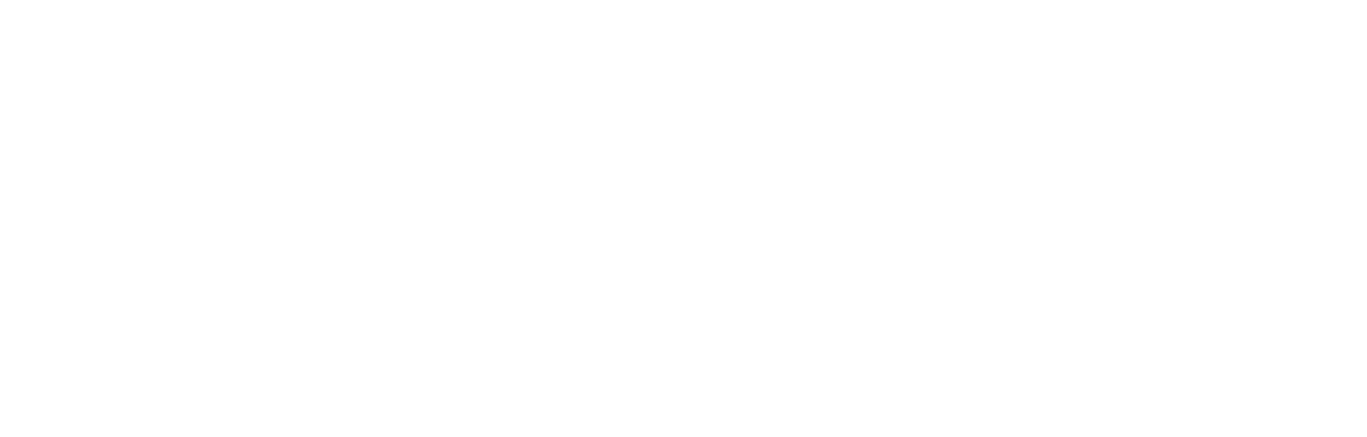 LogoWhiteSmall image